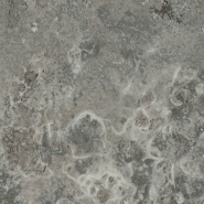 ���������� S62024/F7480 ������� C���� FG 4100x1200 �� PFLEIDERER (21262)